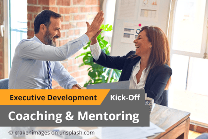 Executive Development: An Introduction to Systemic Coaching and Mentoring